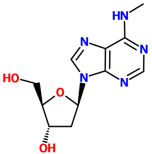 (image for) MC081309 N6-Methyl-2'-deoxyadenosine